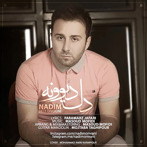 Cover artwork for Dele Divoone by Nadim